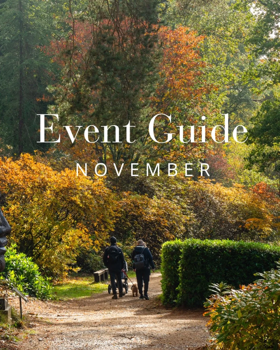 November at Leonardslee ✨

As autumn begins to fade and the festive season draws closer, there&rsquo;s plenty to look forward to at Leonardslee this November.

From creative workshops and seasonal food and wine to the first touches of Christmas, it&r