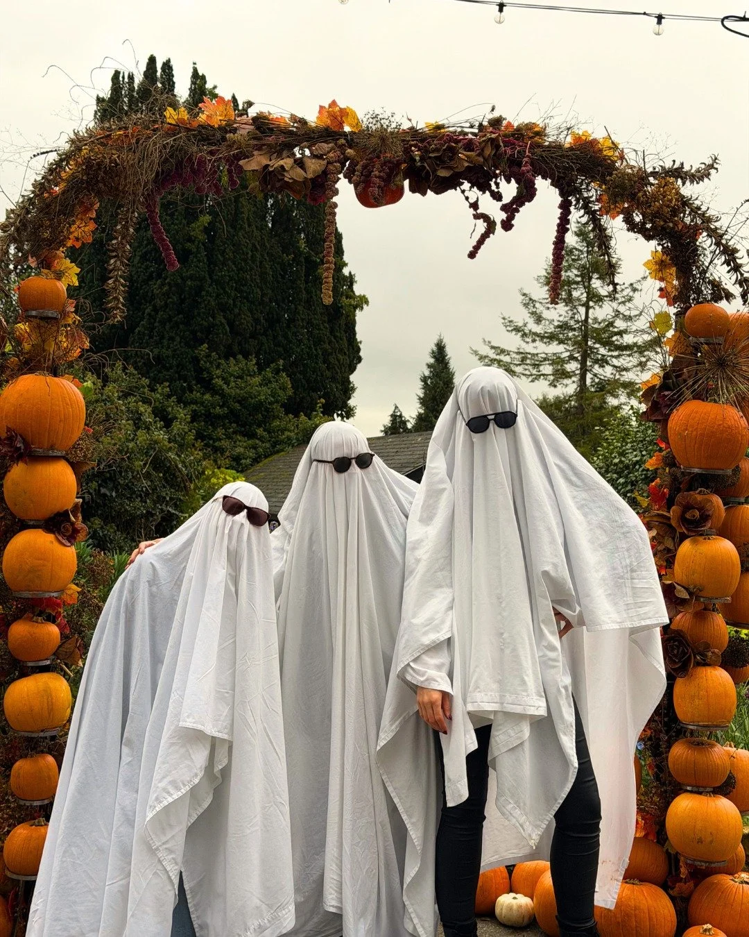 🎃 Happy Halloween from all of us at Leonardslee! 👻🍂

We&rsquo;ve had a spooktacular time celebrating Halloween at the gardens, from magical adventures with The Potion Master&rsquo;s Quest to our Spooky Family Silent Disco! 🧙&zwj;♀️🪩✨

And the fu