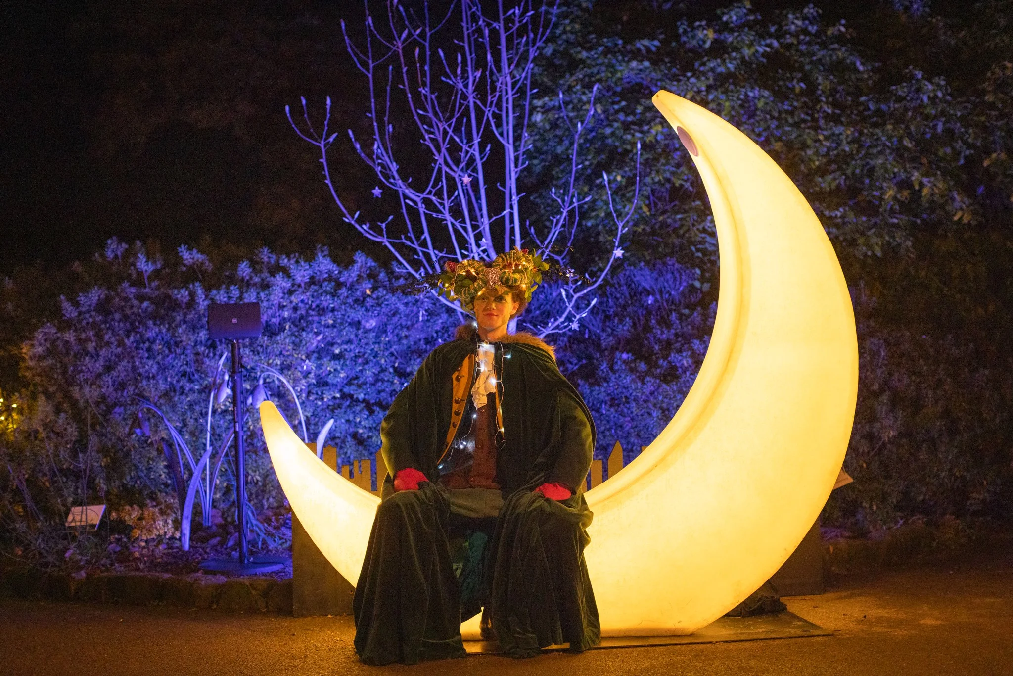 Leonardslee Lights 2025 low-134 (1).jpg