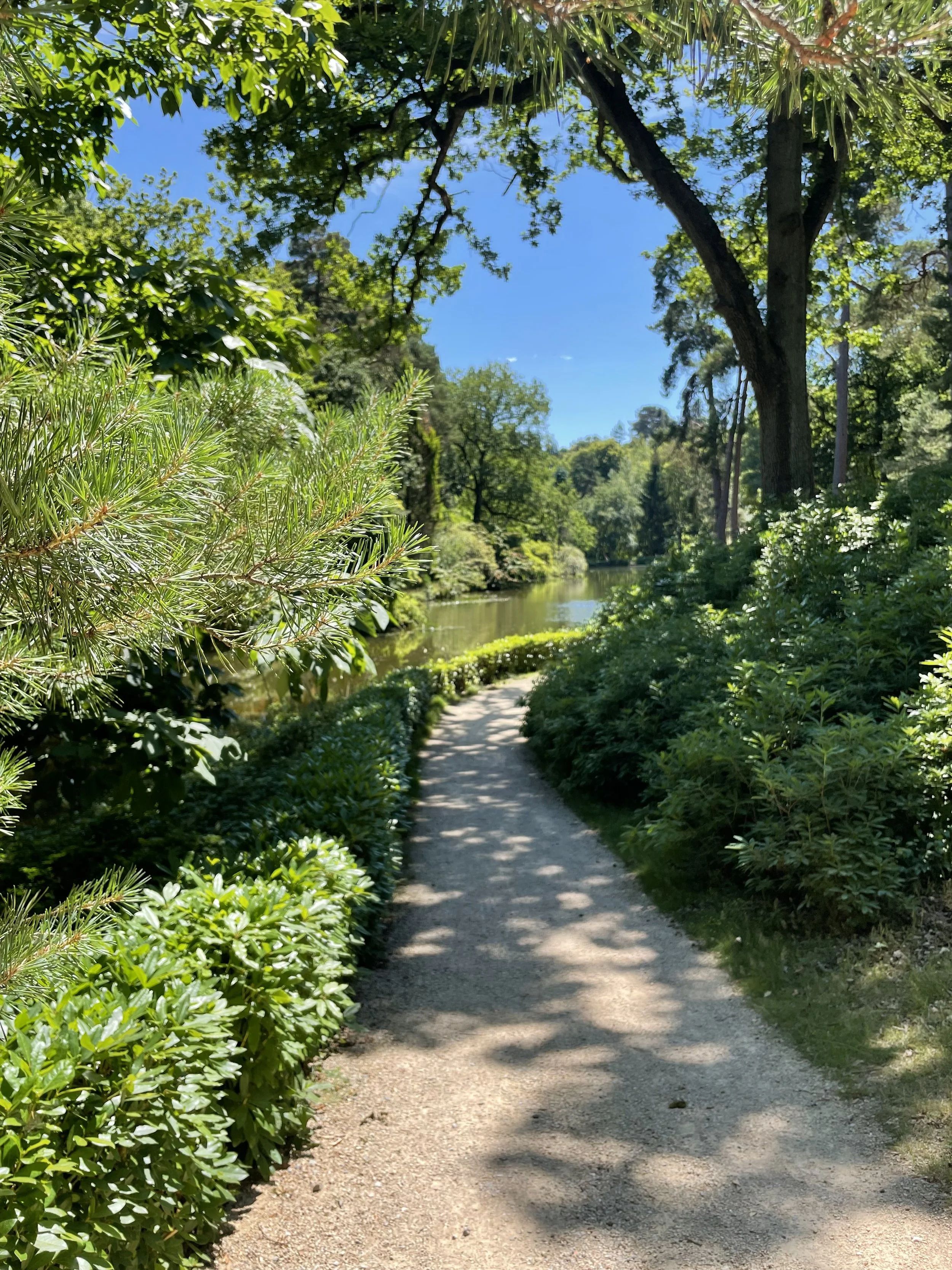 Summer-Trees-Paths_2.jpg