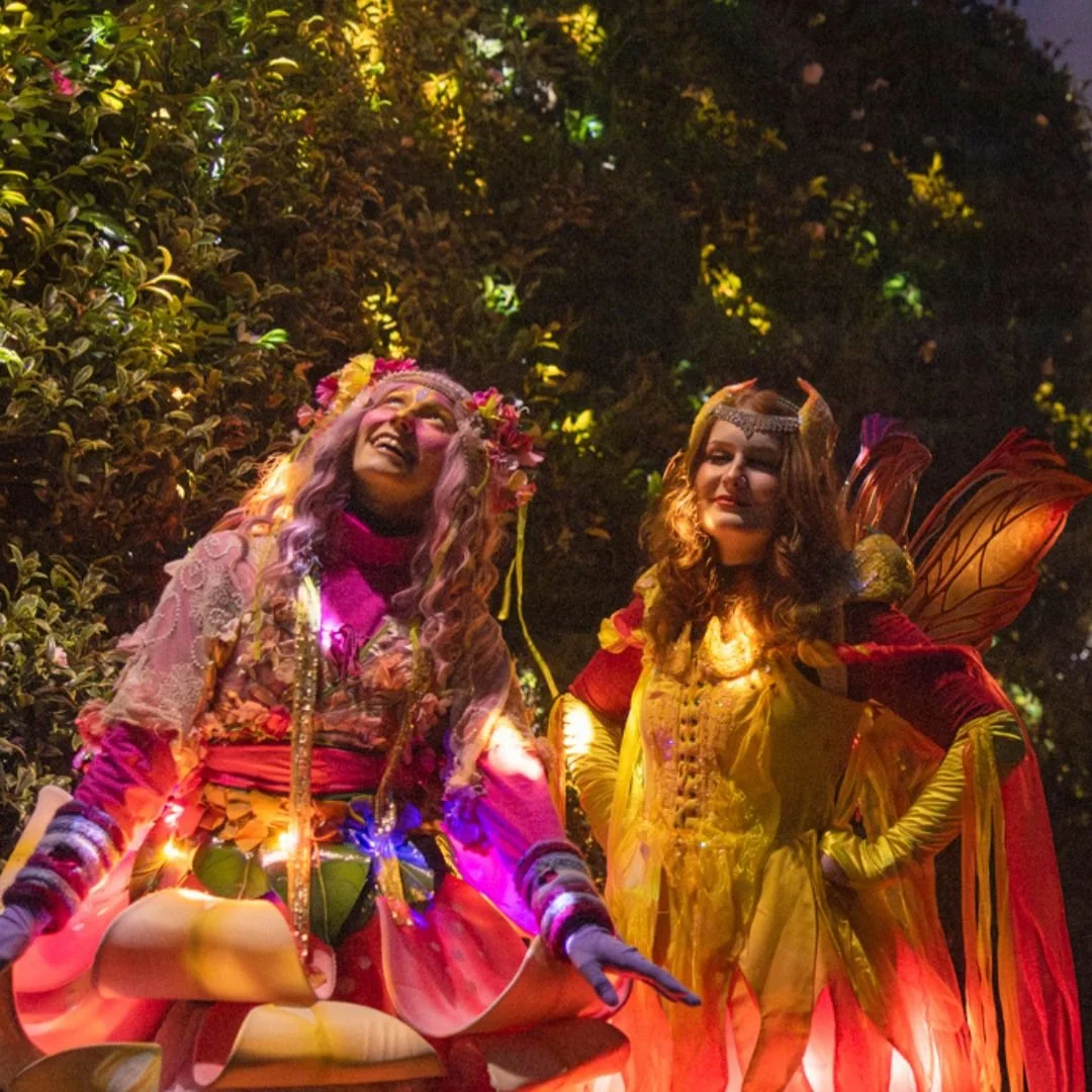 Leonardslee Lights Horsham Sussex Winter Trail (5).jpg