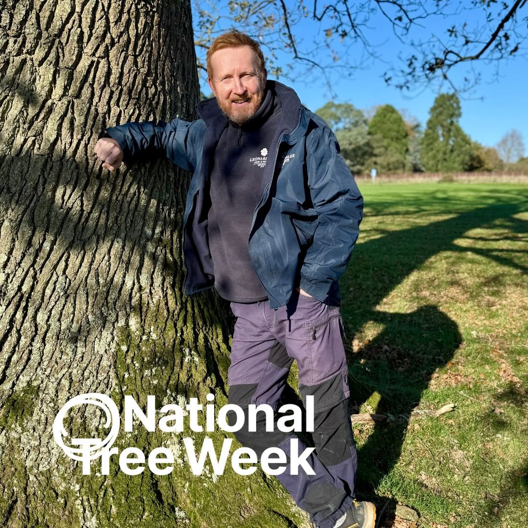 Celebrating National Tree Week at Leonardslee Lakes &amp; Gardens&nbsp;