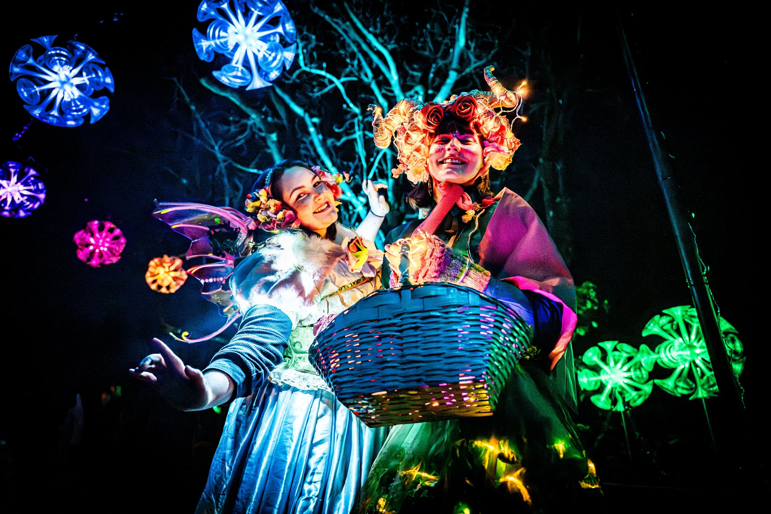 Leonardslee Lights 2025.jpg