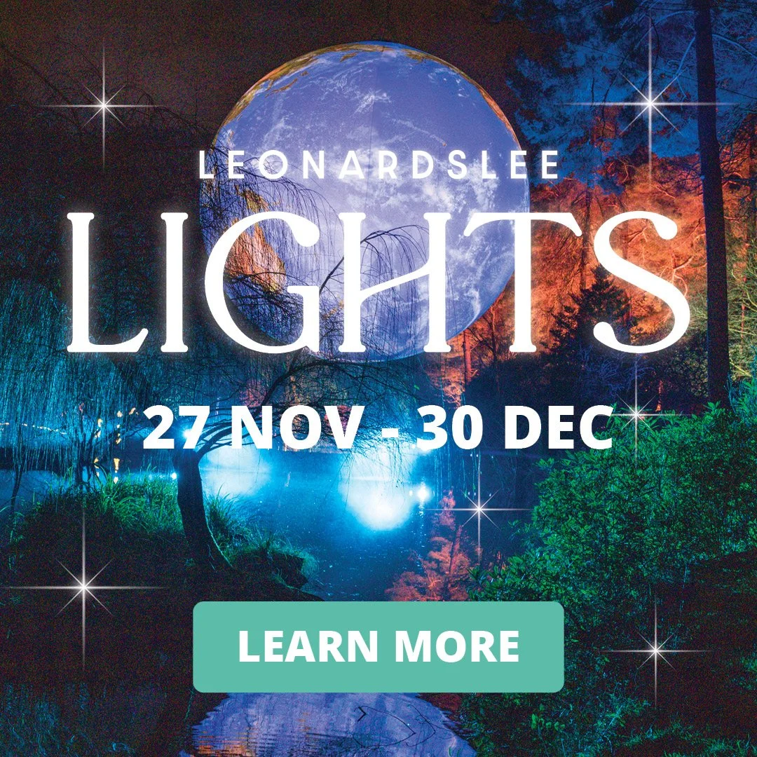 12525 LLG_Leonardslee Lights_mobilecarousel.jpg
