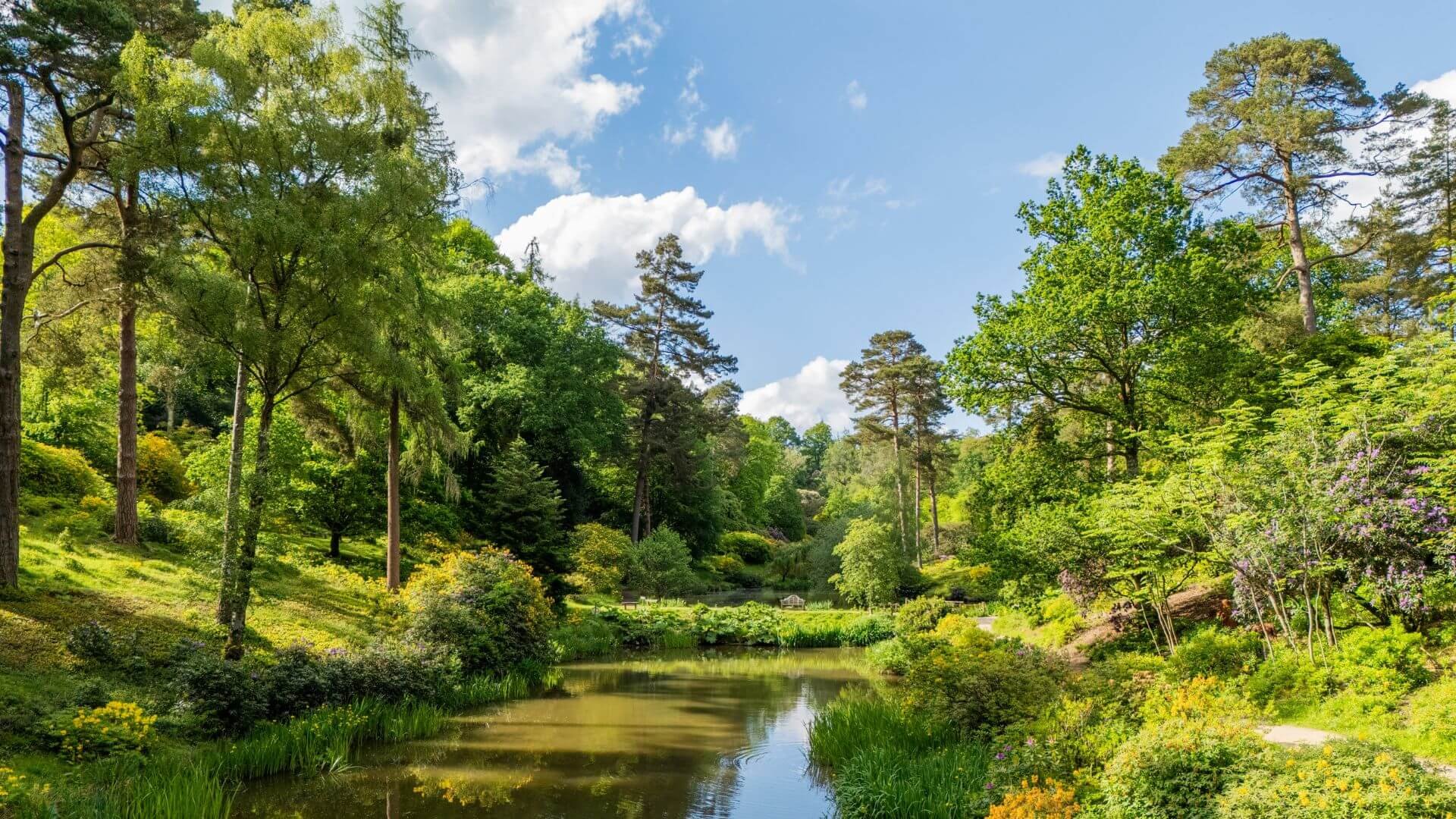 Explore-symphony-Nature.jpg