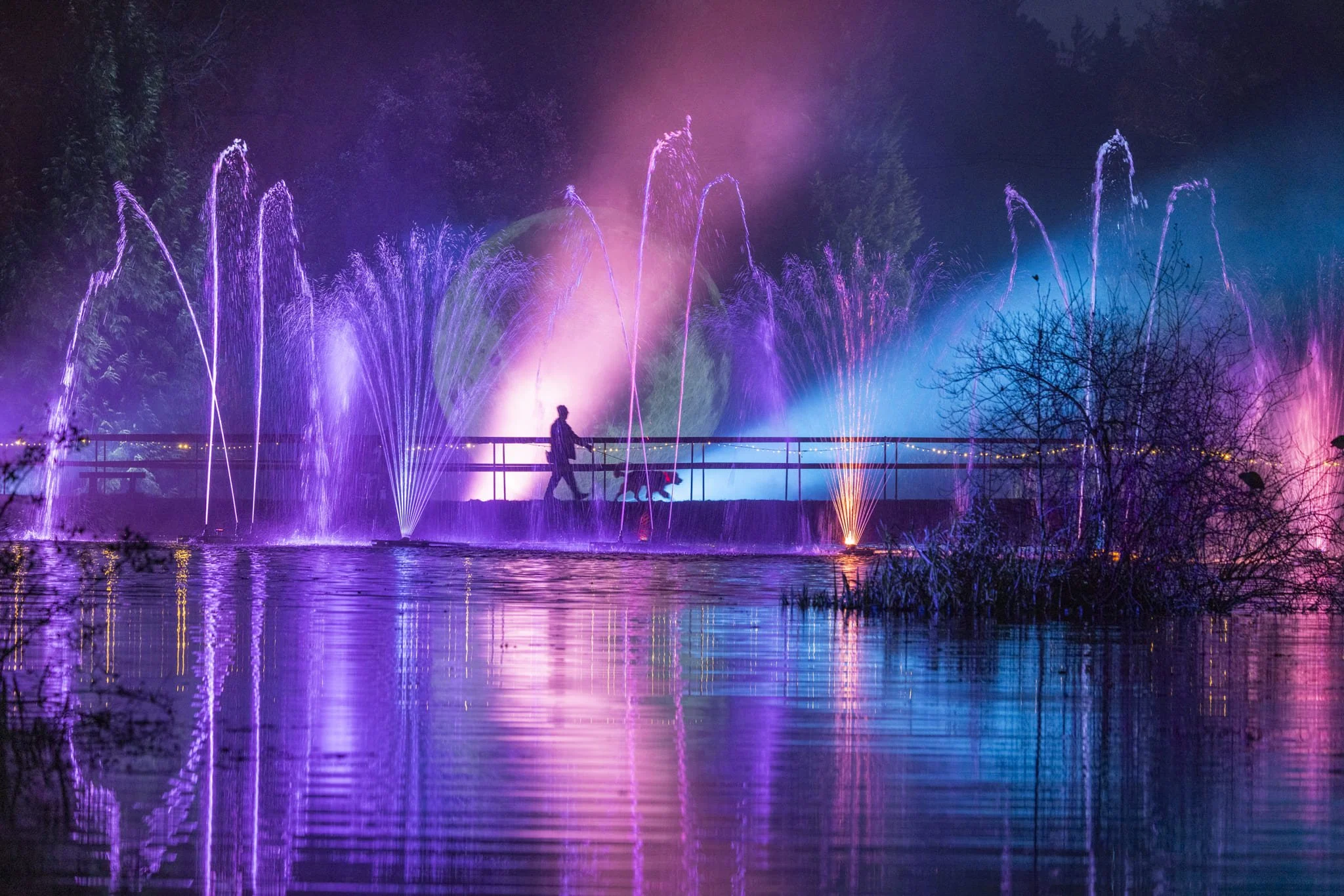 Leonardslee Lights, from Leonardslee Lakes and Gardens