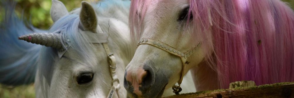 Unicorn Rides | Leonardslee Gardens Unicorn Rides | Leonardslee Gardens