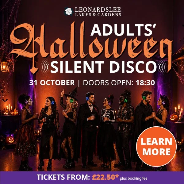 Halloween Adults Silent Disco Carousel Horsham (1).jpg