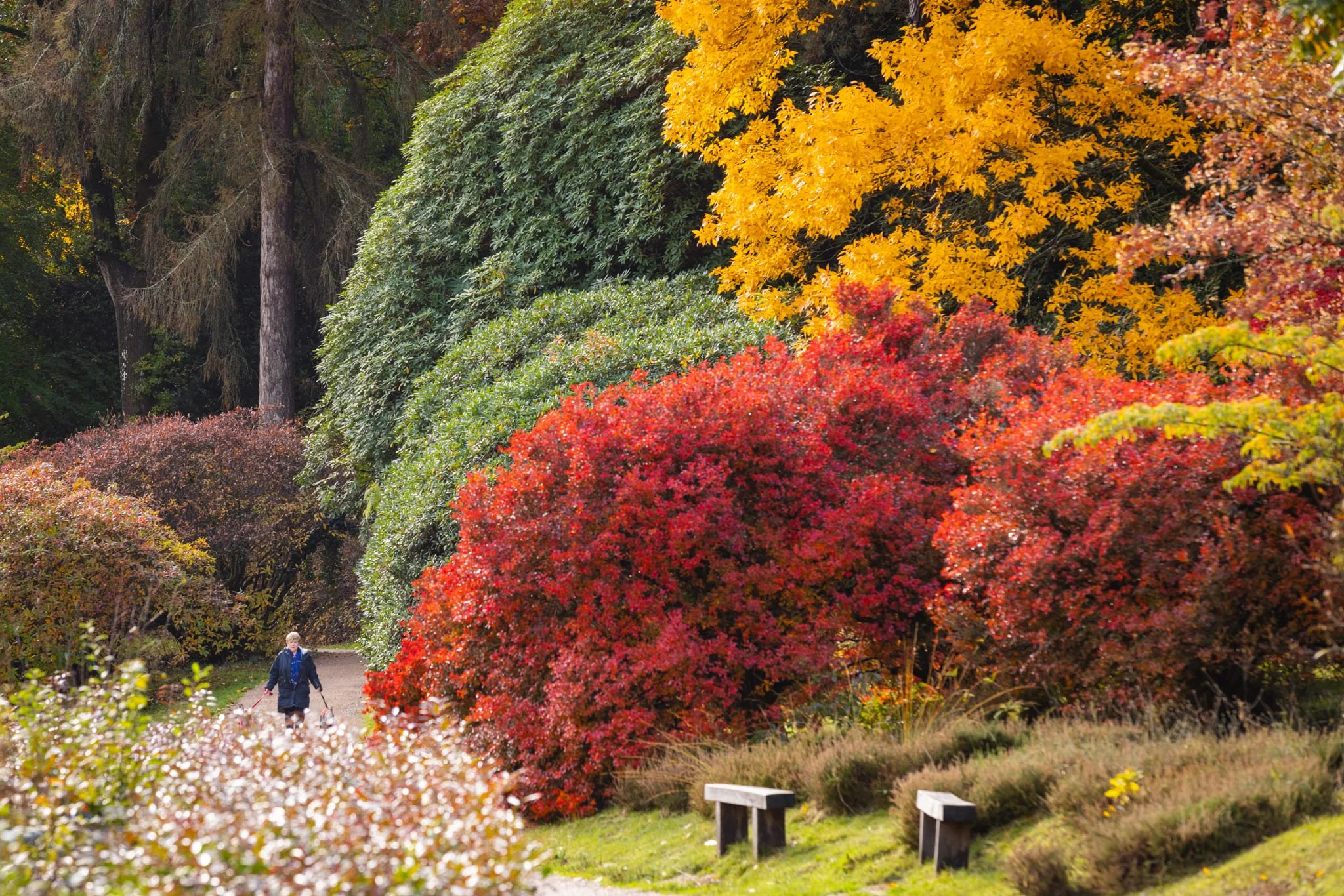 Autumn Escapes at Leonardslee