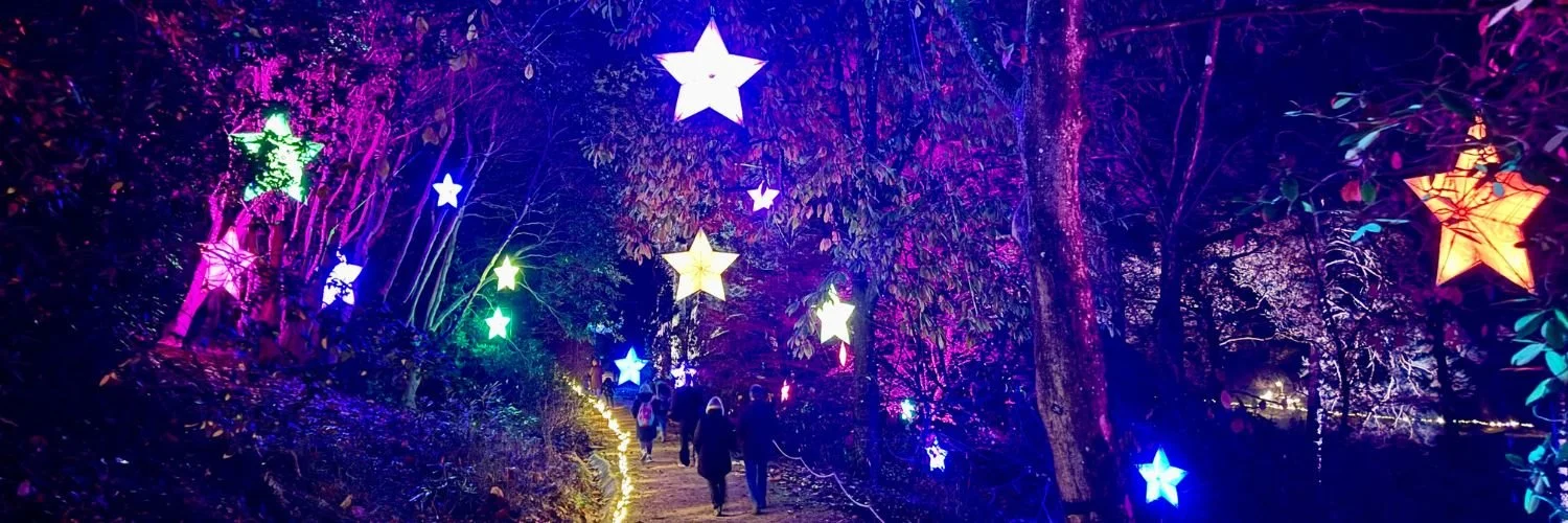 Leonardslee Lights 2024  (15).jpg