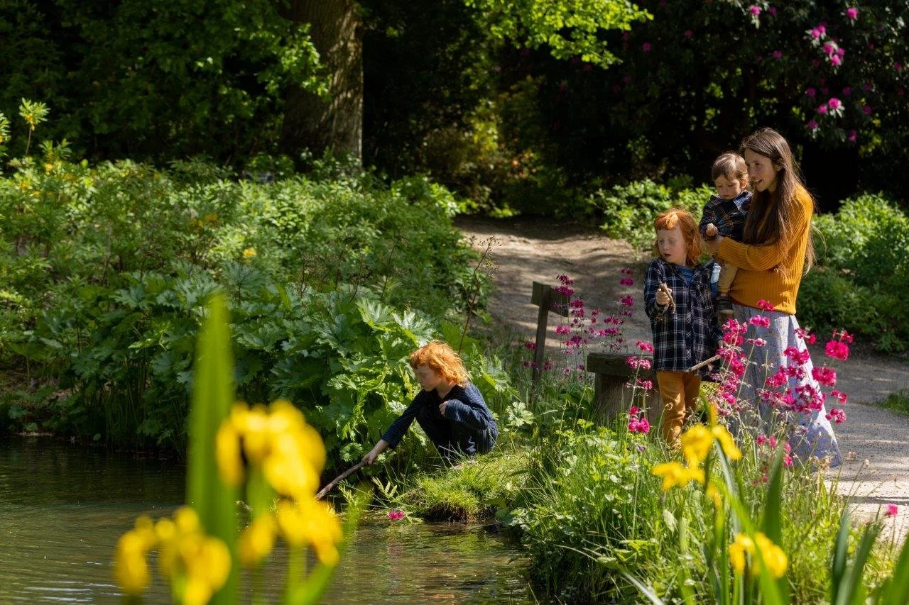  Plan your Summer Holidays at Leonardslee Lakes & Gardens 