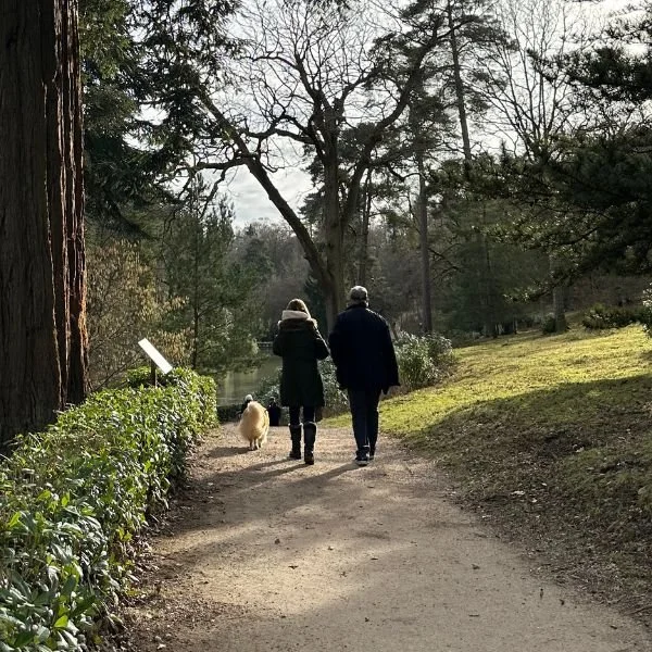 Winter-valentines-day-walk-in-leonardslee-gardens (2).jpg