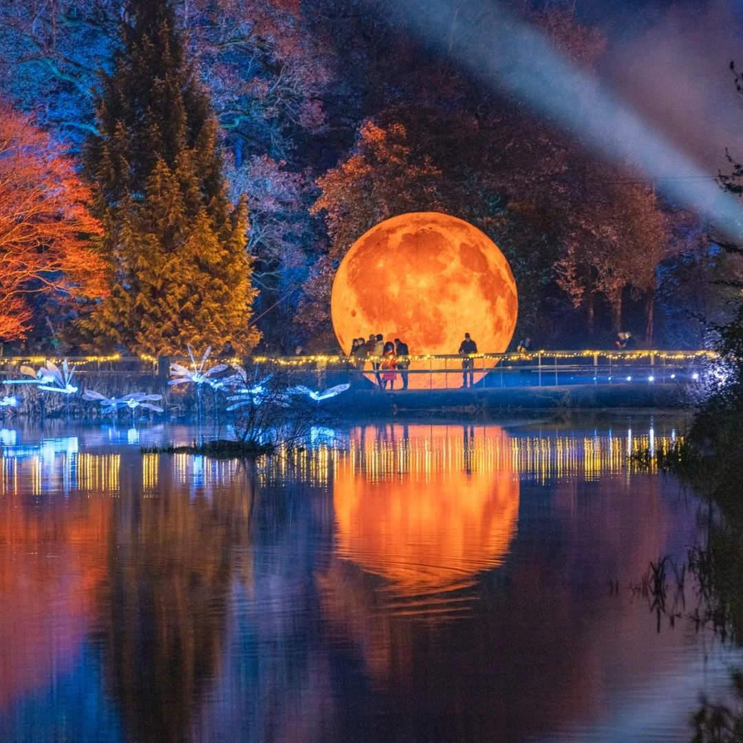 Tickets Now on Sale: Discover What’s New at Leonardslee Lights 2025 