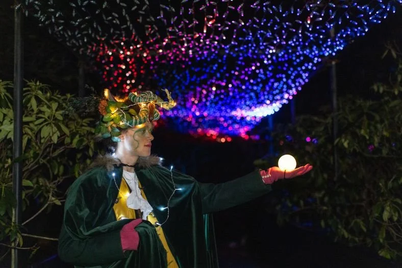 SPIRITS OF THE WOODLAND by Third Space.jpg