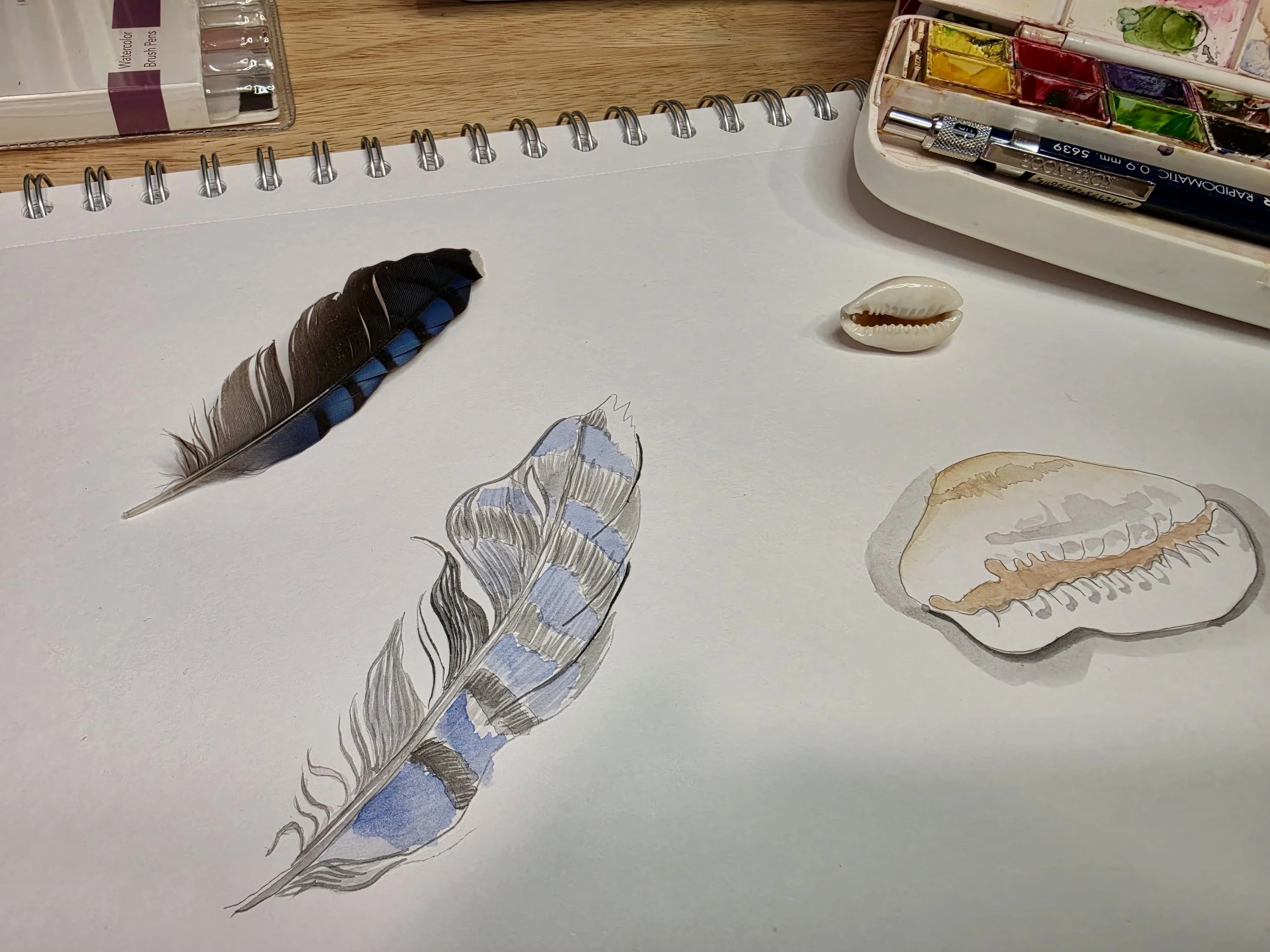 8/25/2026 nap time painting session
