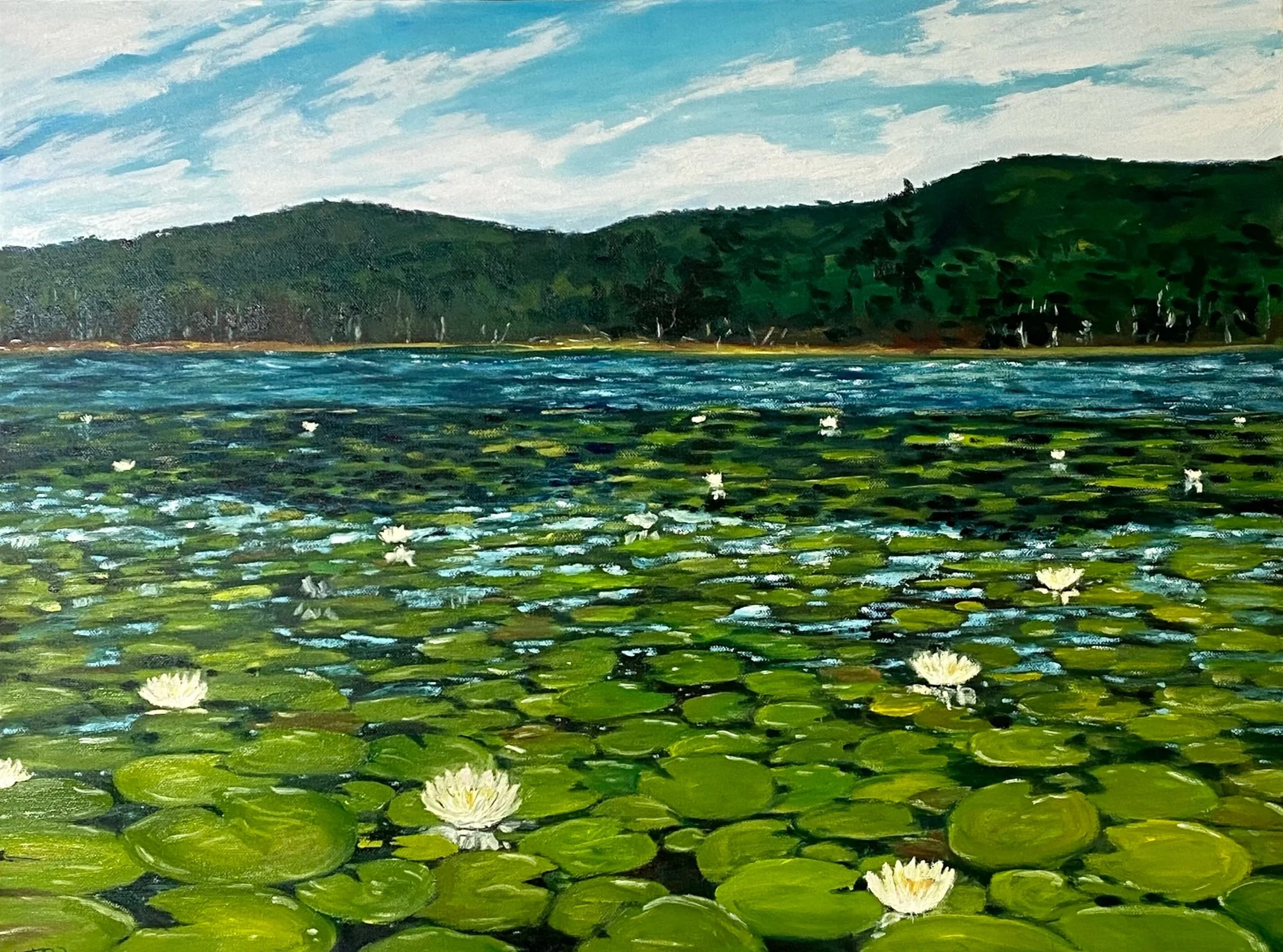 Water Lillies on Tucker lake. oil on canvas, wood framed. 18"x24"
$530