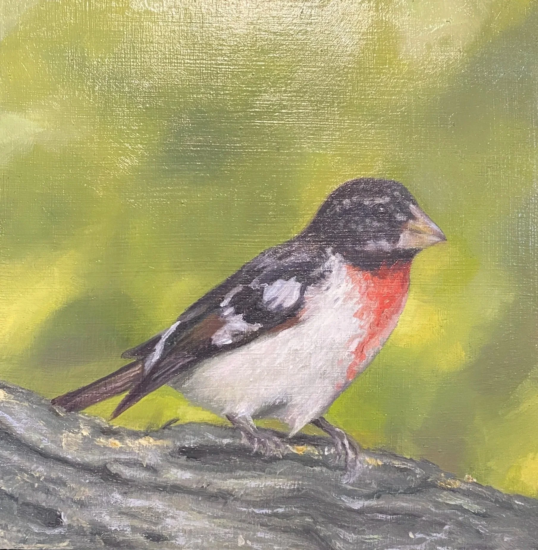 Rose Breasted Grosbeak, oil on wood, framed 6x6"
$182