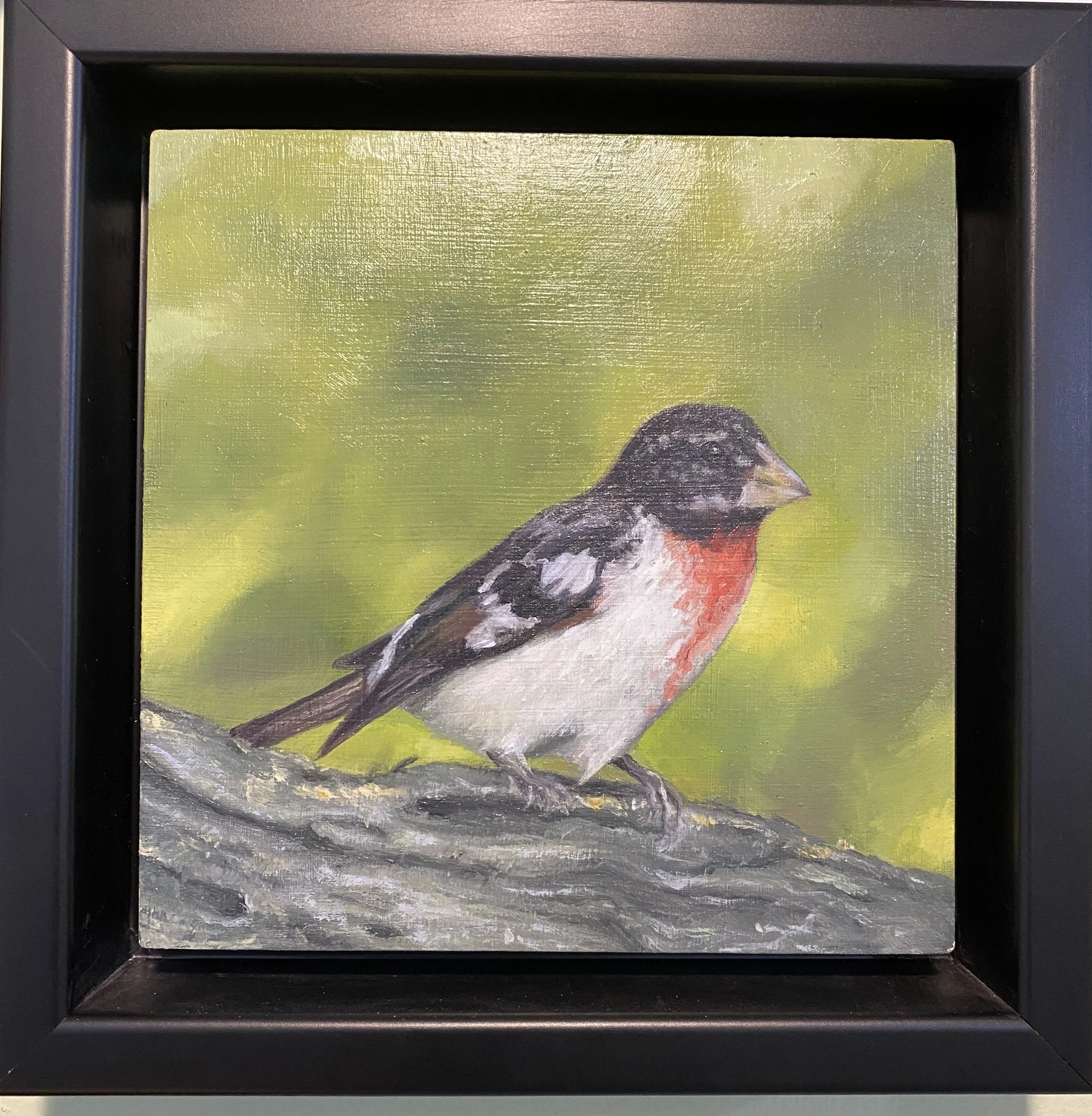 Rose Breasted Grosbeak, oil on wood, framed 6x6"
$182