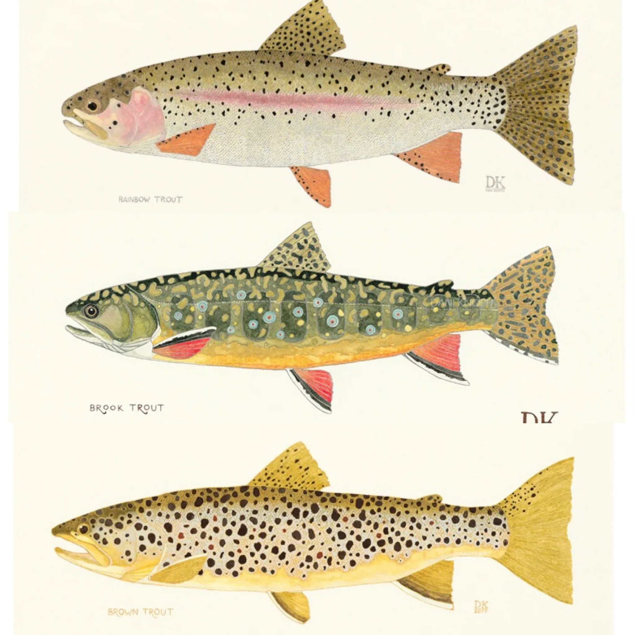 Dani Knopf, Watercolor Prints
Northern Mi