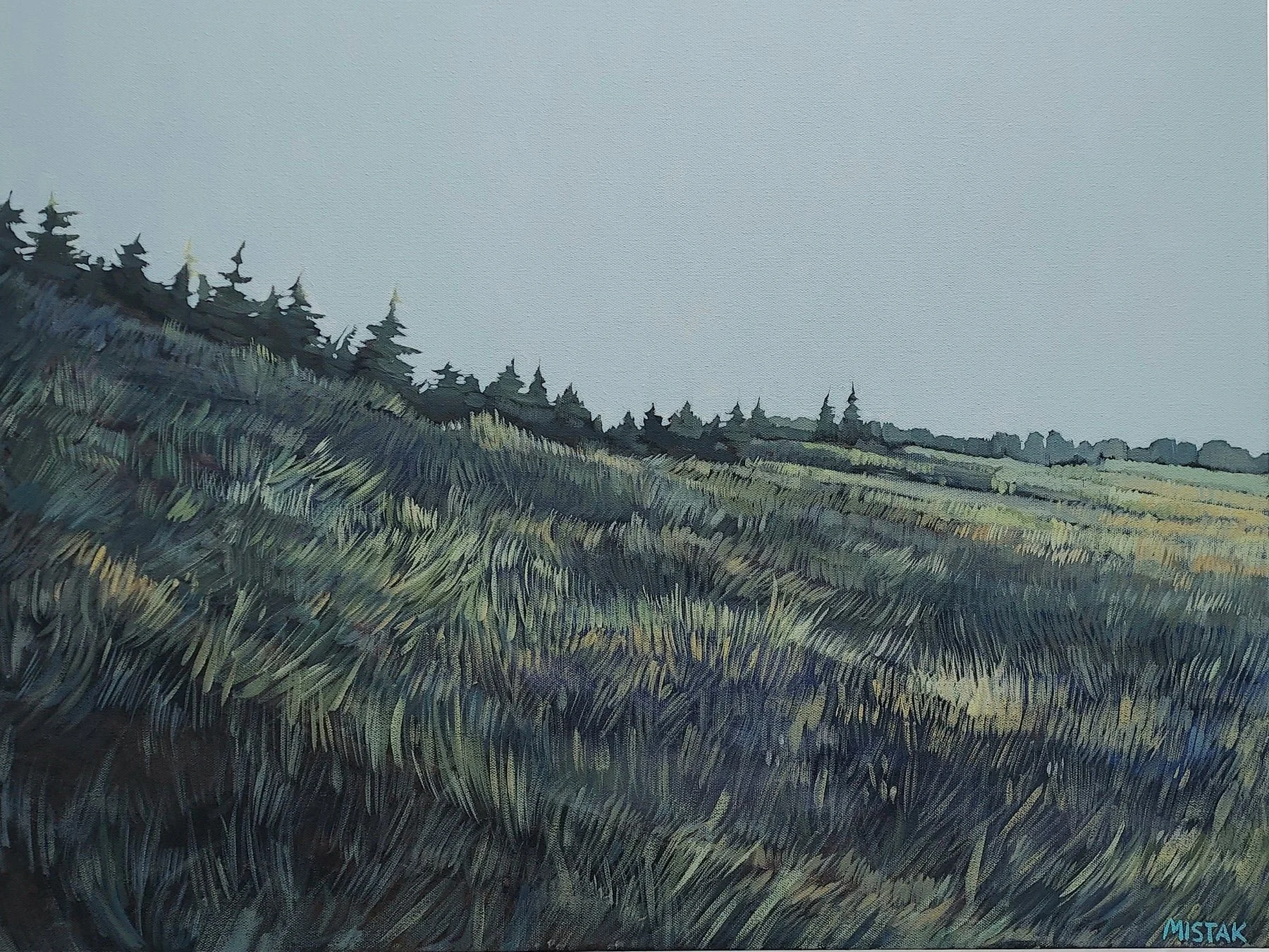 Roadside Meadow acrylic on canvas 24"x30"
-Coming soon-