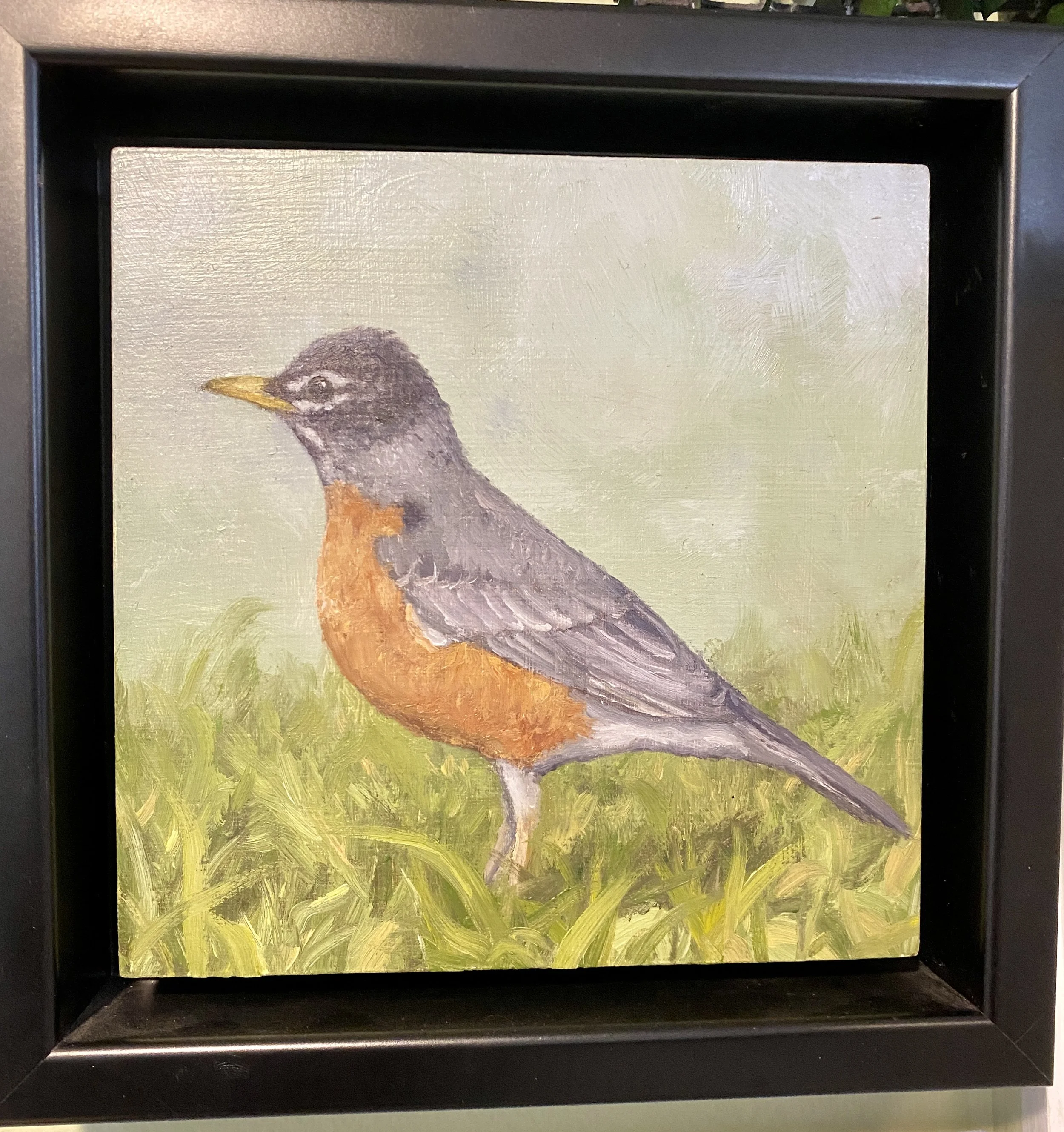 Robin, oil on wood, framed 6x6"
$182