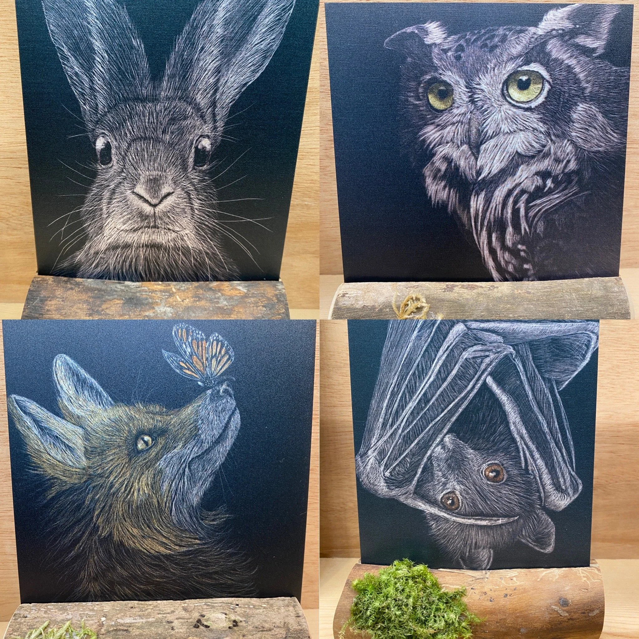 Chandra Jennings, Scratch Board Art
Columbus, OH