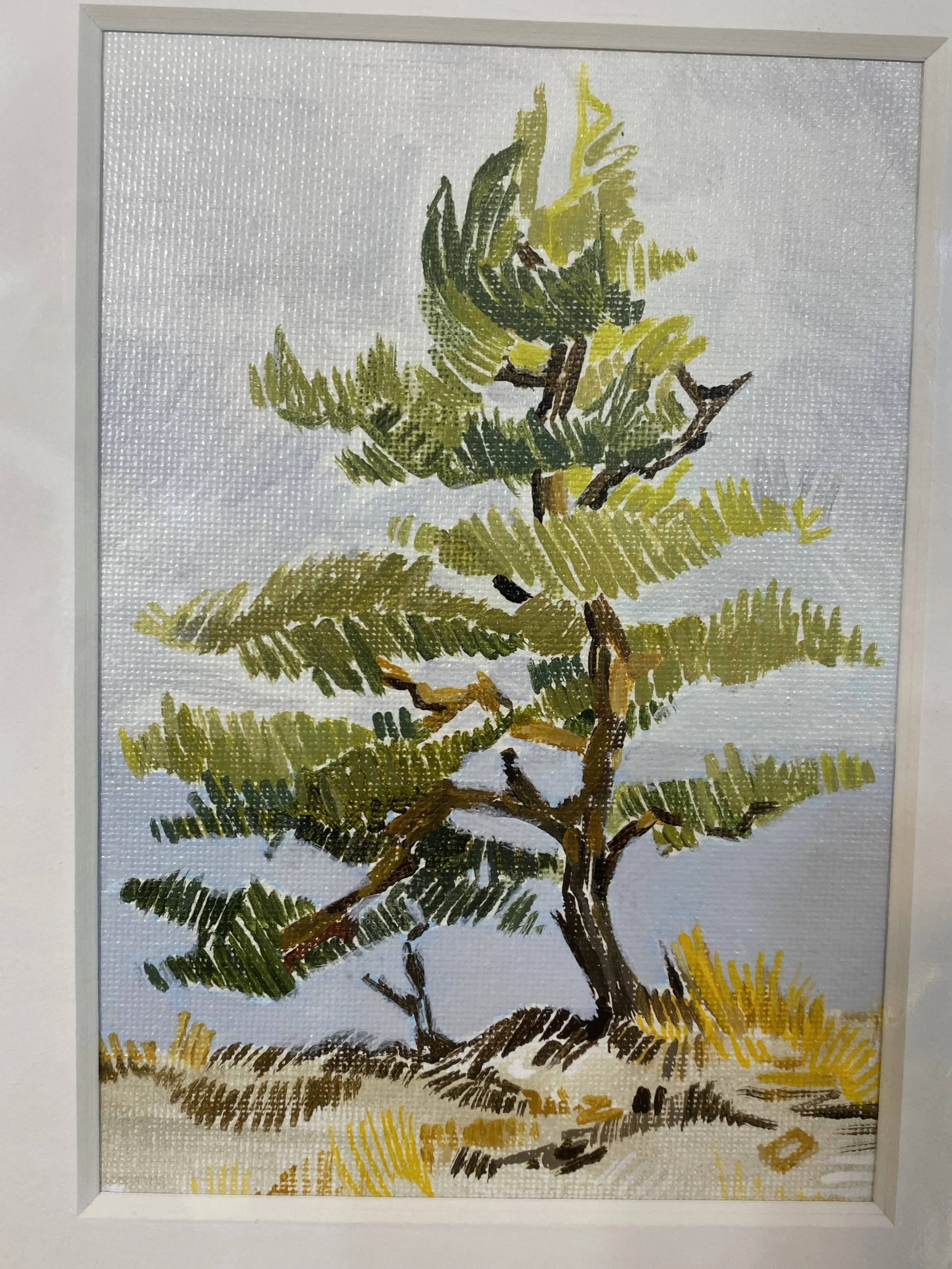 White Pine Study no. 2, acrylic on canvas 11x14" mat
$128