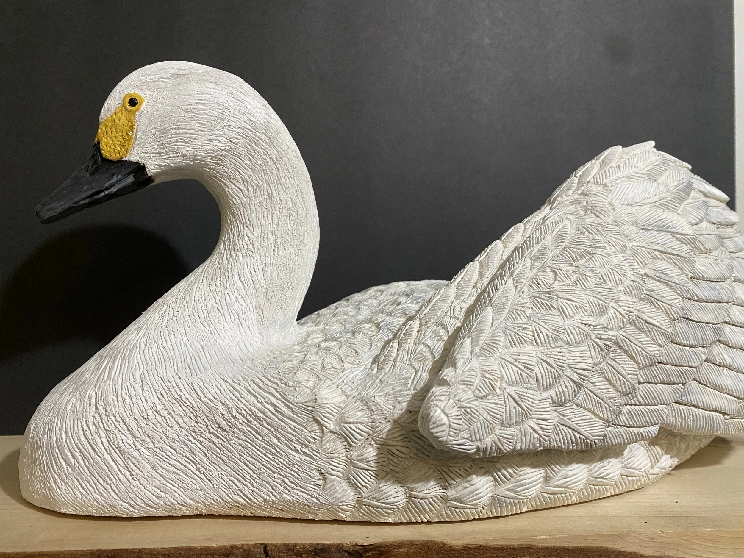 Swan $425