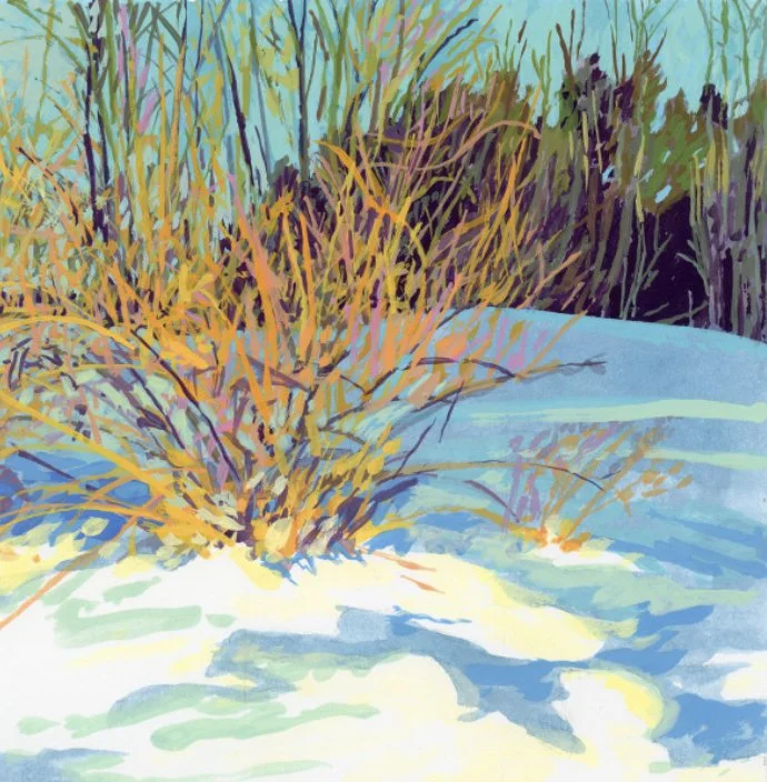 Winter Forsythia 12x12" digital print
$50