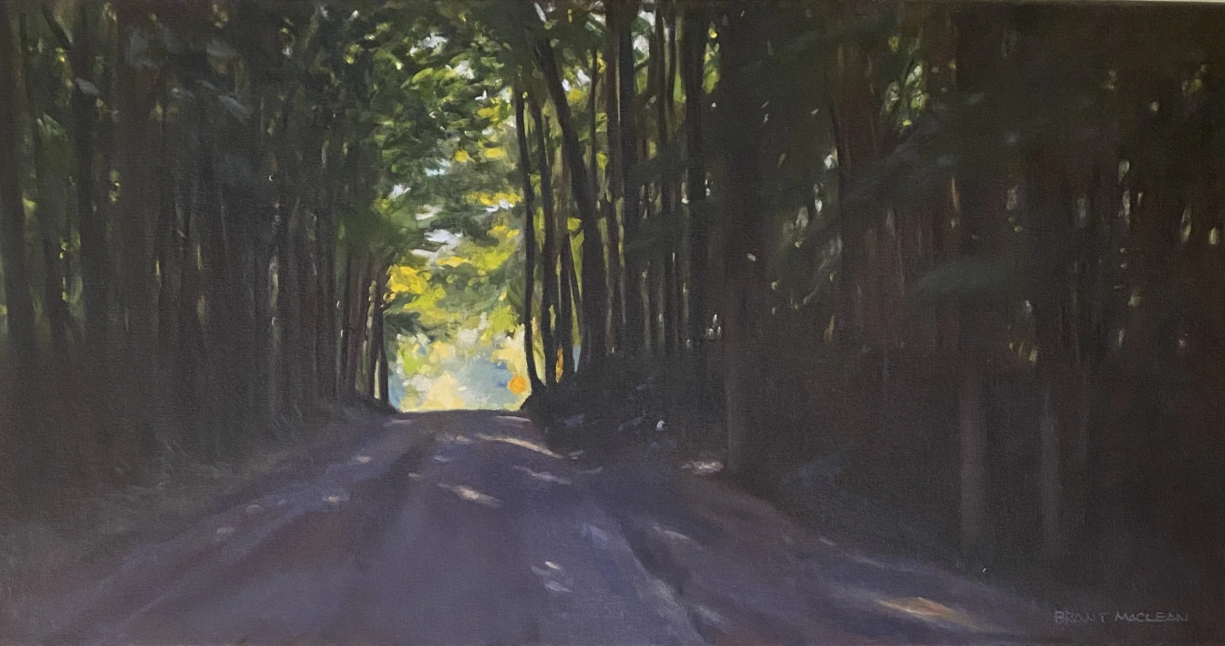 Tunnel of Trees, oil on canvas 15"x30" $850