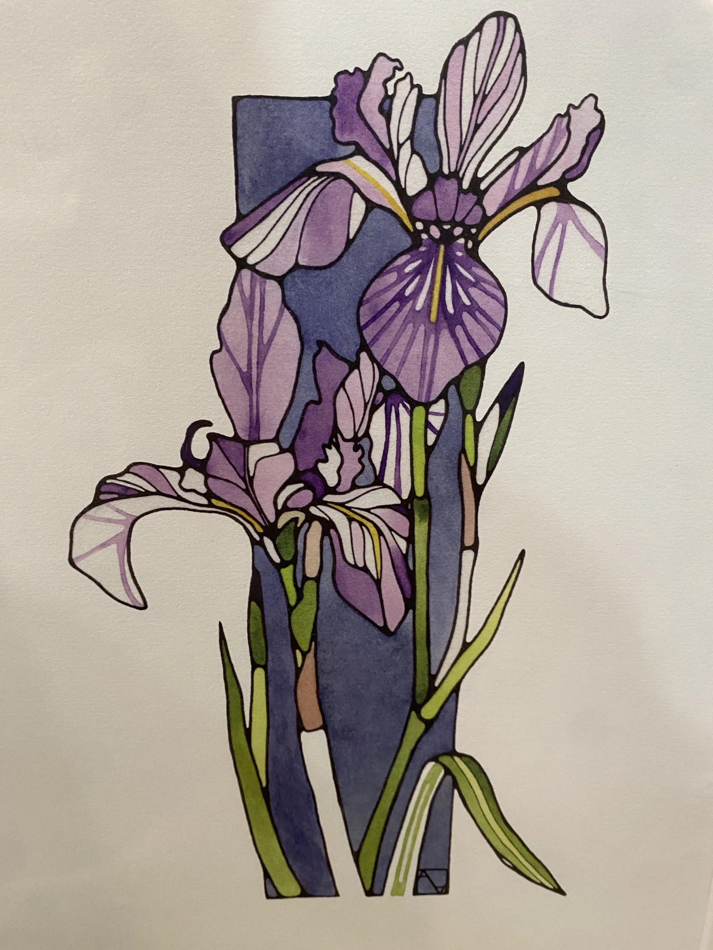 Ash Ambrosino, Watercolor botanicals
Ann Arbor, MI
