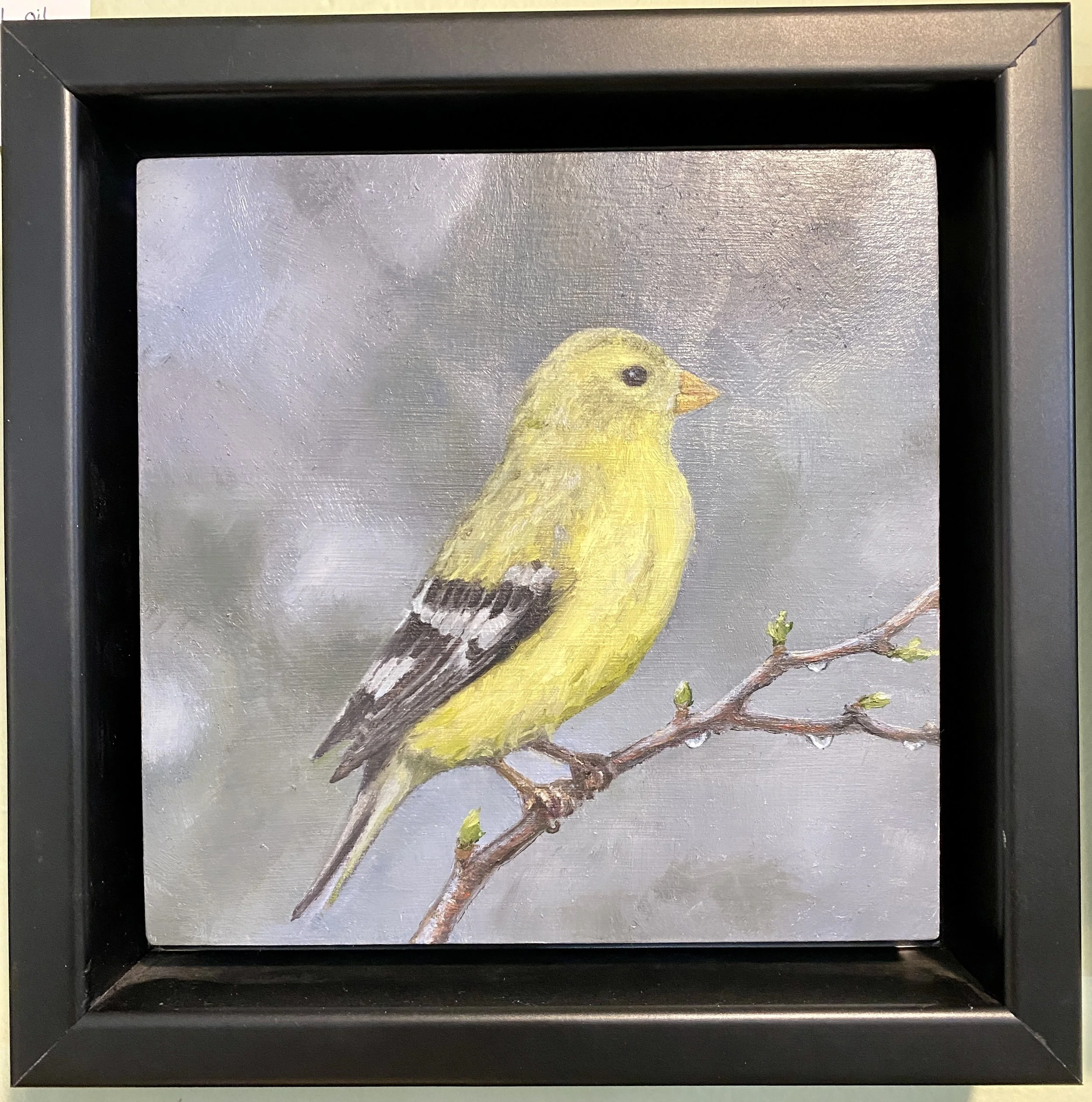 Gold Finch, oil on wood, framed 6x6"
$182
