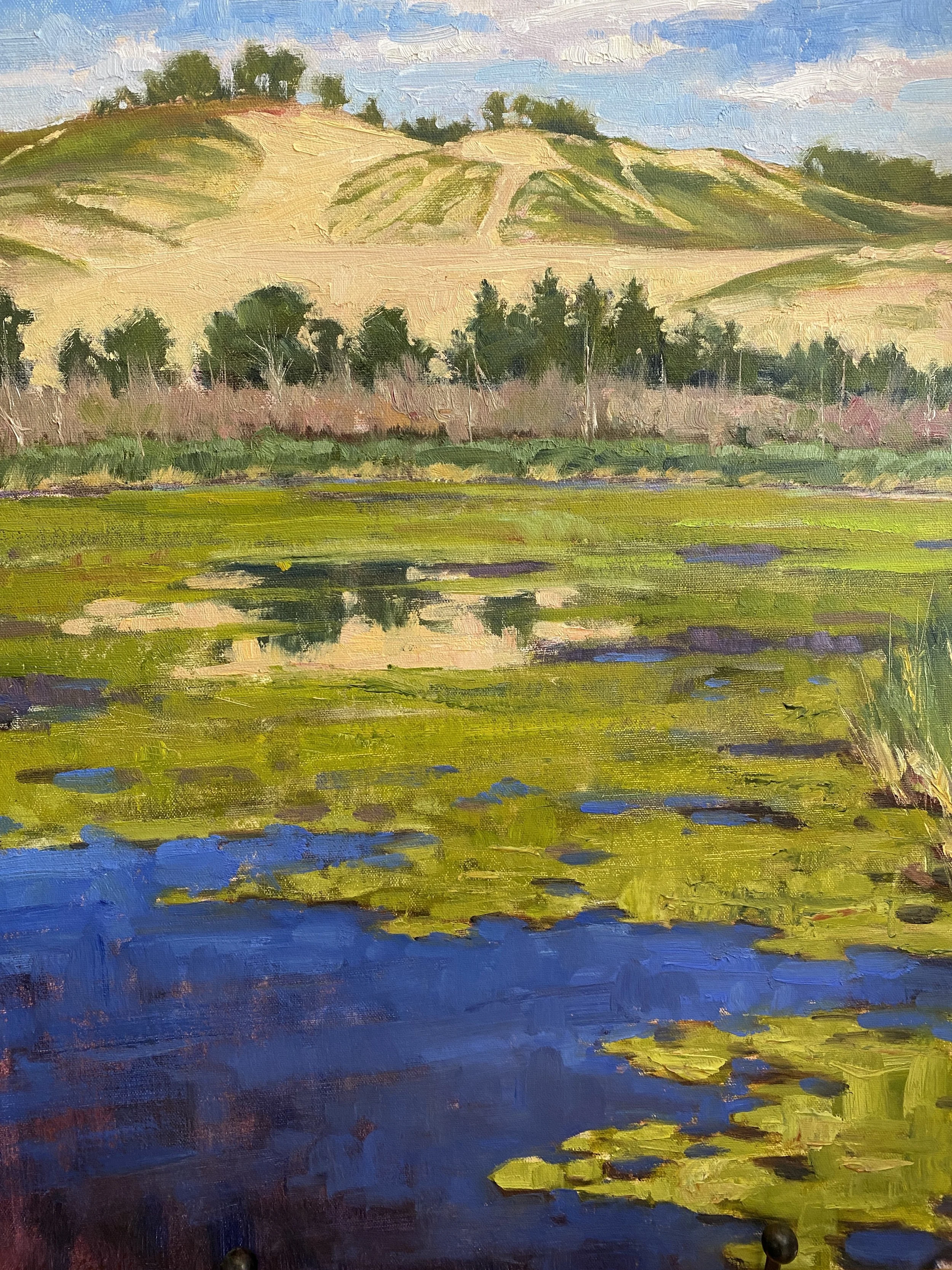 Dune Reflections, oil on canvas 16"x20" $900