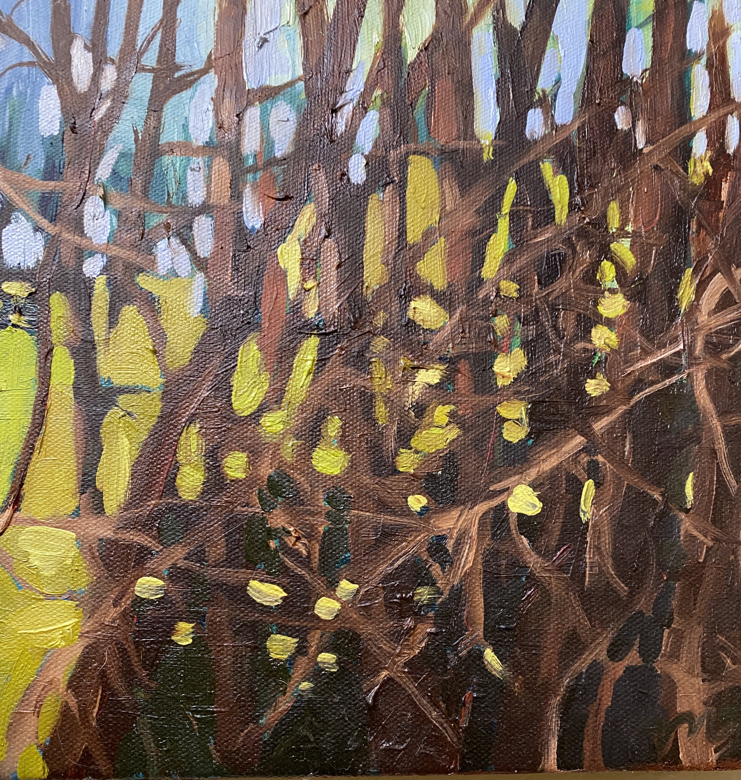 Spring I, oil on canvas, 10"x10" $320