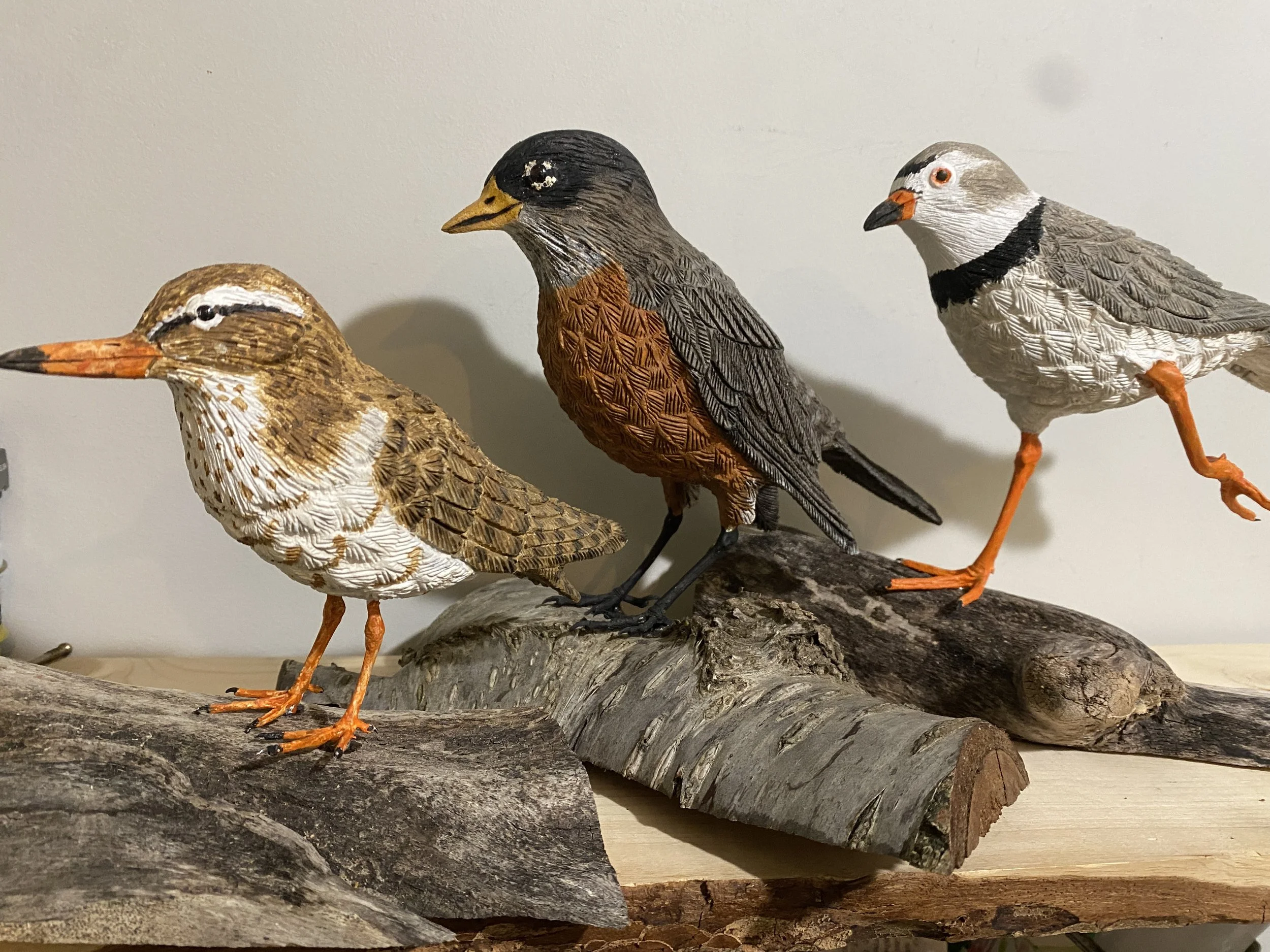 Sand Piper, Robin, Plover $145 each