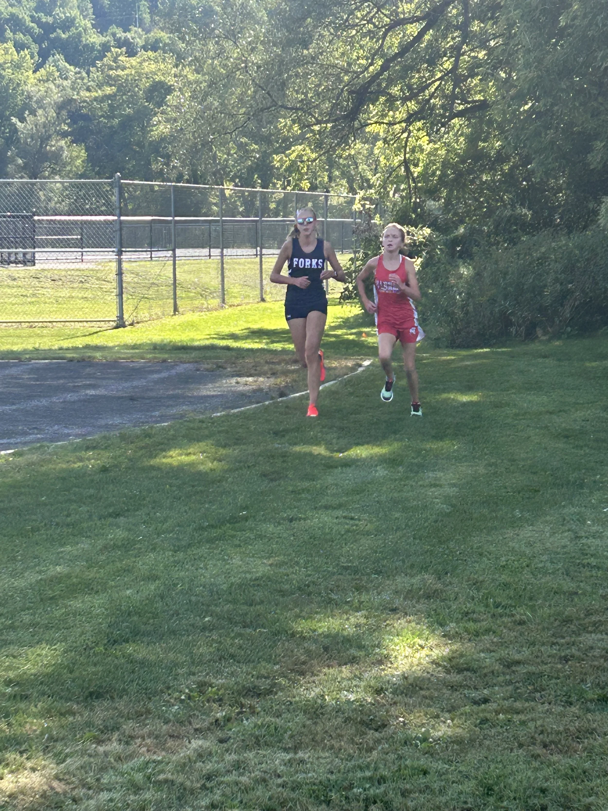 Dan Forbes Invite Harrier