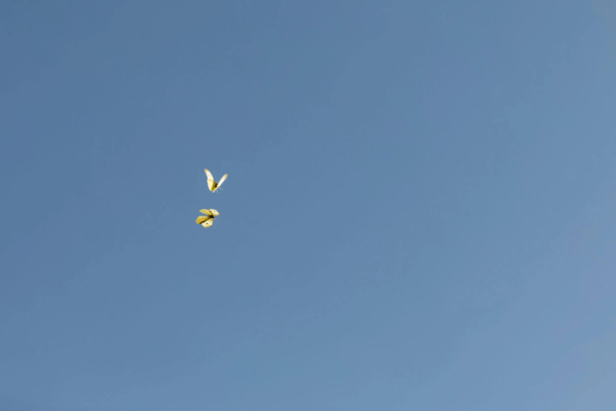 K+KPhotography_PortfolioreviewD-134.jpg