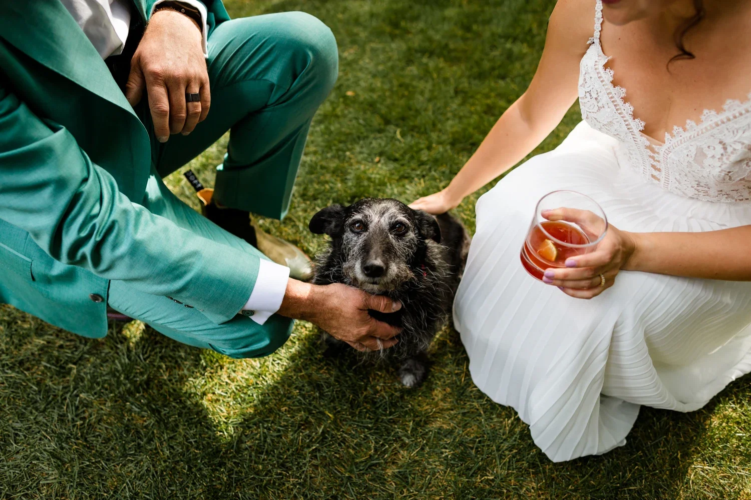 A gathering outdoors with a woman in a white dress holding a drink, a man in a turquoise suit petting a black and gray dog, and someone else petting the dog. They are on grass.