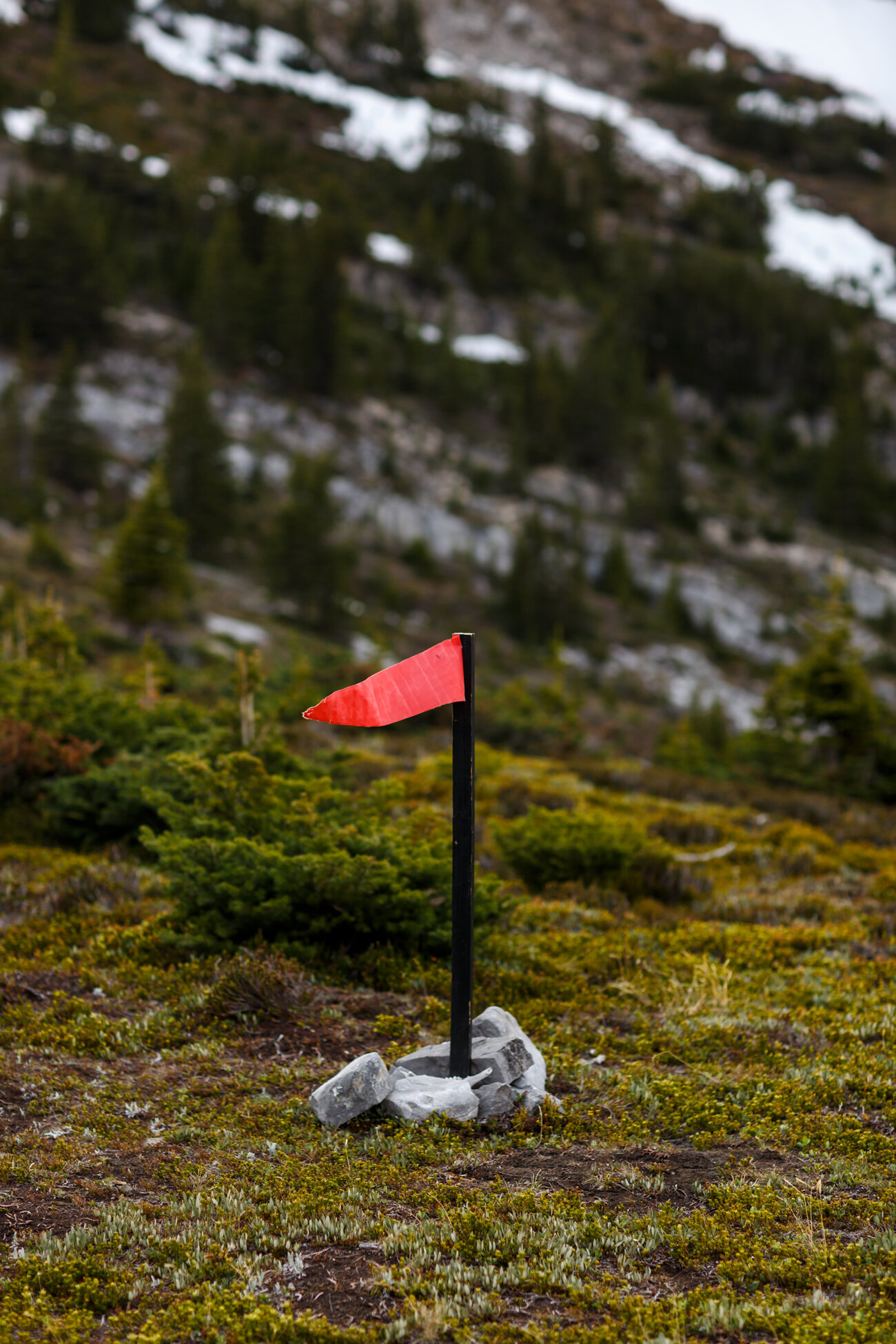 030-helicopter-elopement-photographers-banff.jpg