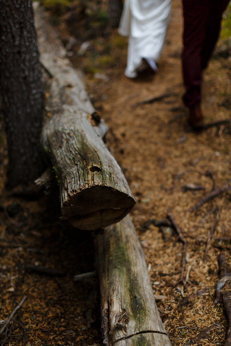 K+KPhotography_A+M_Elopement_Share-321.jpg