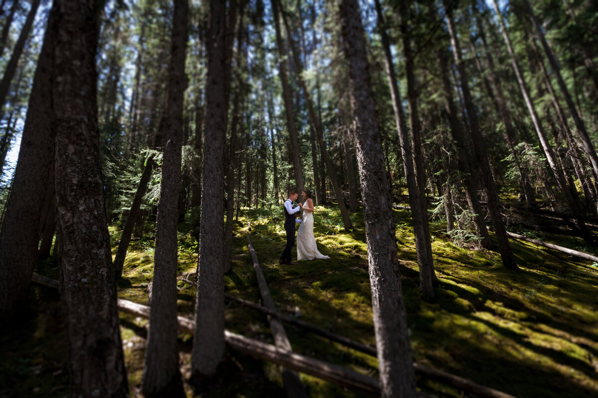 K+KPhotography_A+LWedding_Share-155.jpg