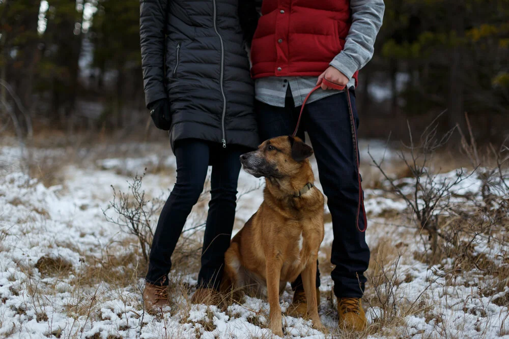 K+KPhotography_D+BEngagement-Share-75.jpg