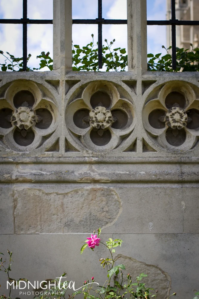 Just Arrived in Europa! 