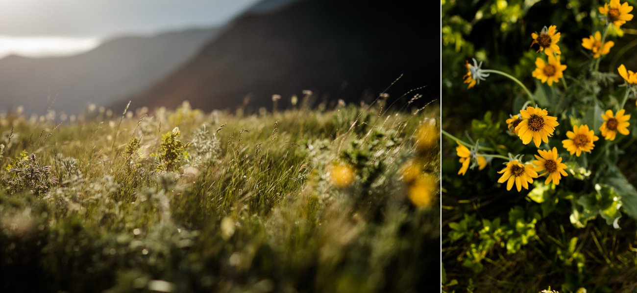 030-canadian-rockies-elopement--waterton-elopement--waterton-wedding-photographers.jpg