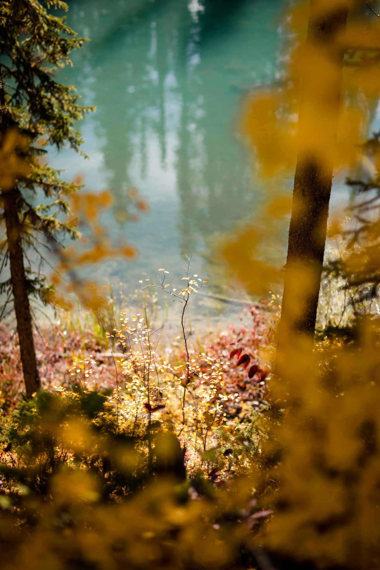 052-banff-elopement-photographers--emerald-lake.jpg