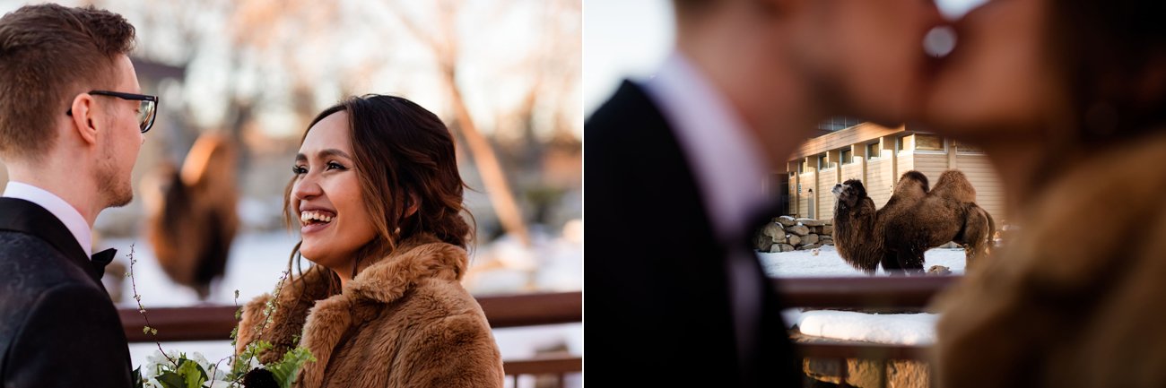  Calgary Wedding Photographer, Calgary Zoo Winter Wedding, Downtown Calgary, Central Library 