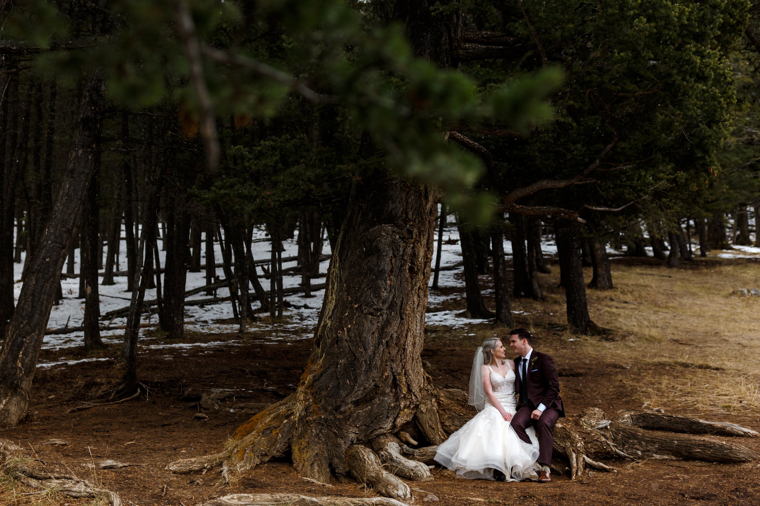  Mt. Norquay Elopement, Banff Wedding Photographer, Vermillion Lakes 