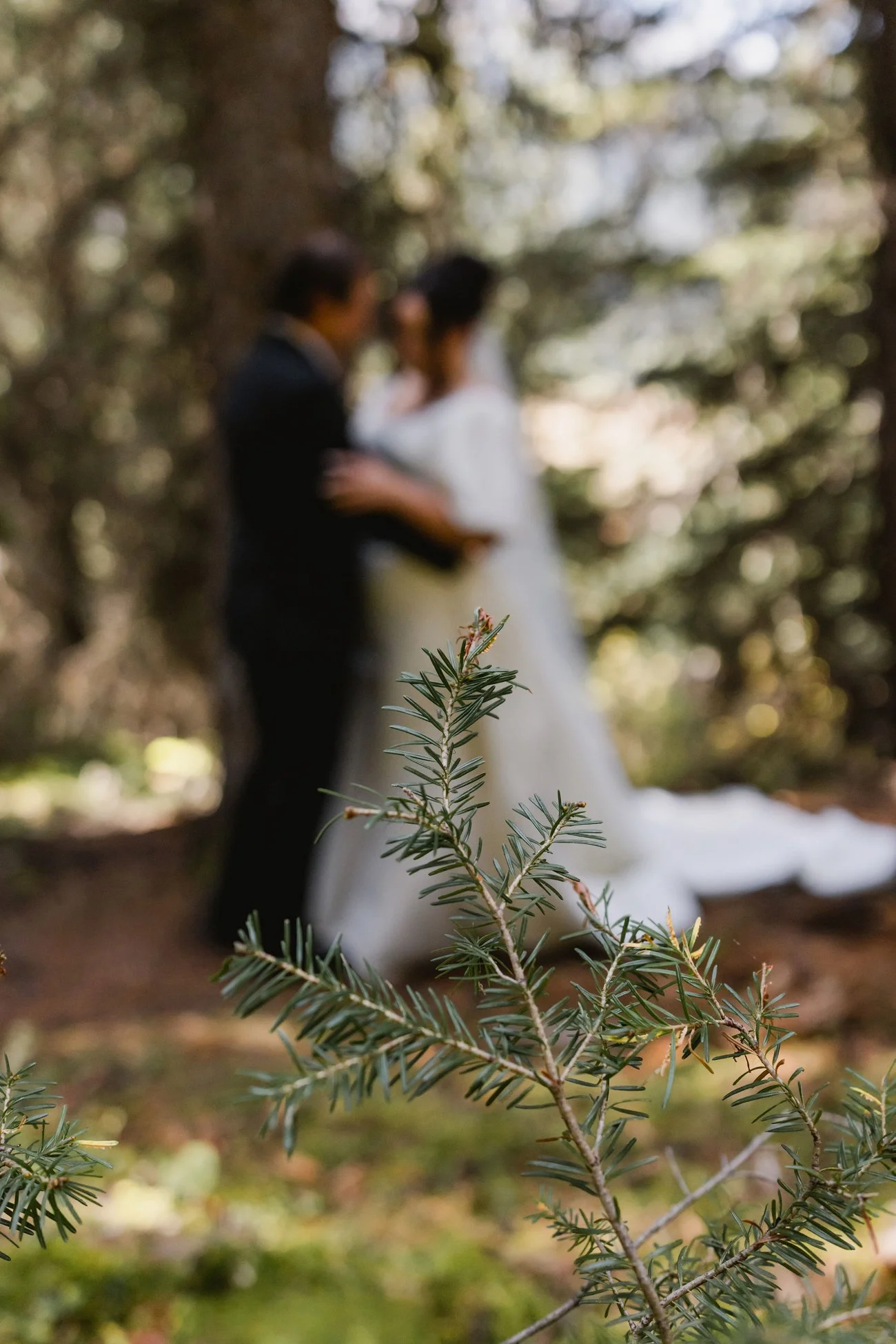 156-KendalandKevinPhotography_BanffPhotographer.jpg