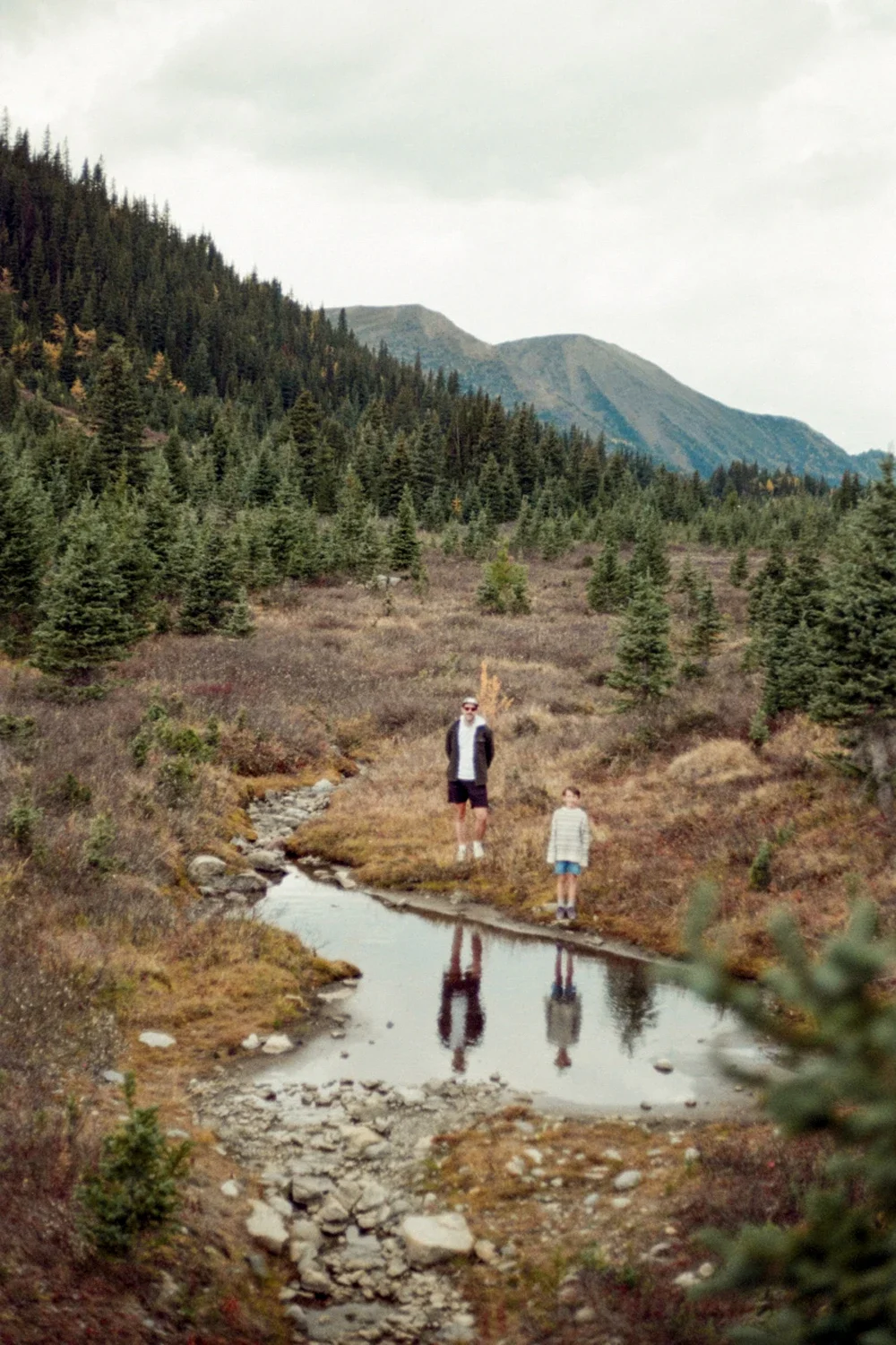 A man and a young boy standing by a small creek in a mountainous forest landscape with trees and mountain peaks in the background.