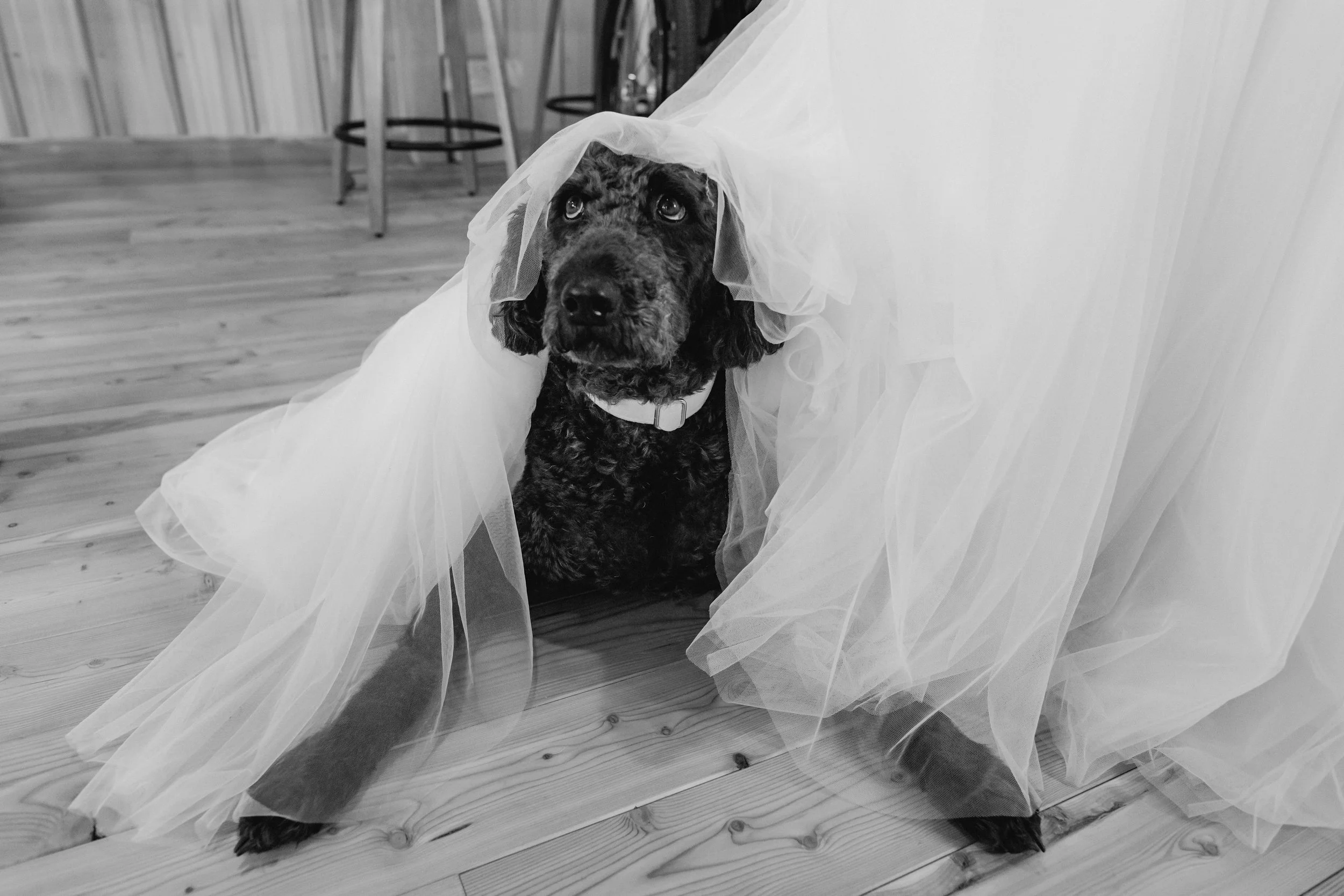 K+KPhotography_PortfolioreviewD-47.jpg
